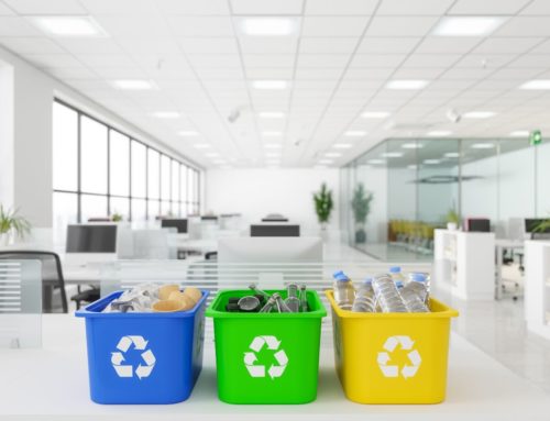 Cómo implementar un programa de reciclaje eficaz en tu oficina